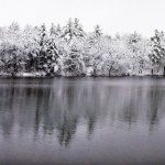 Wilson Lake Cove Thanksgiving composite pano