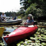 Laurie teaching us how to identify aquatic plant species.